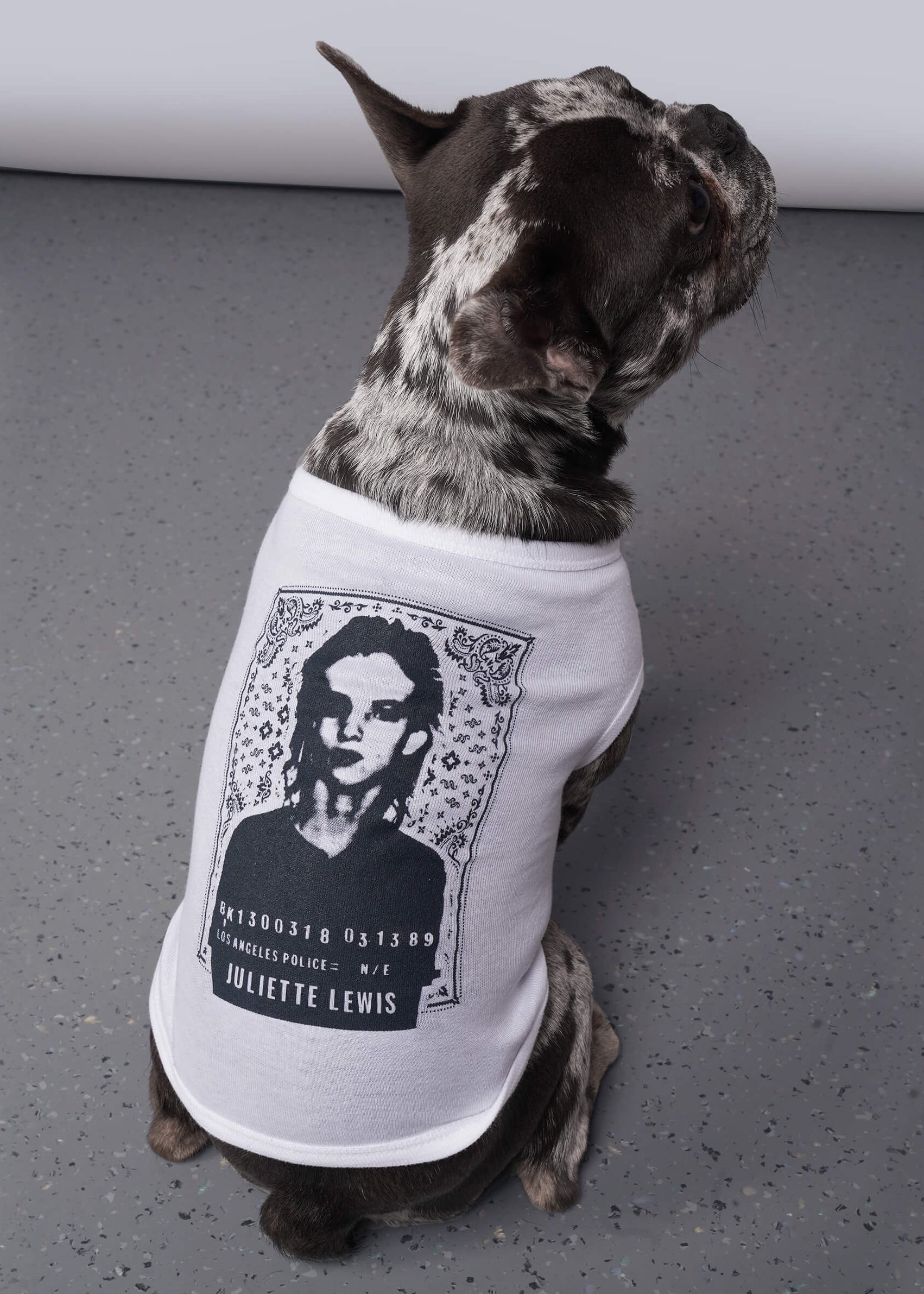 Dog wearing a white t-shirt with a graphic design on a gray floor.