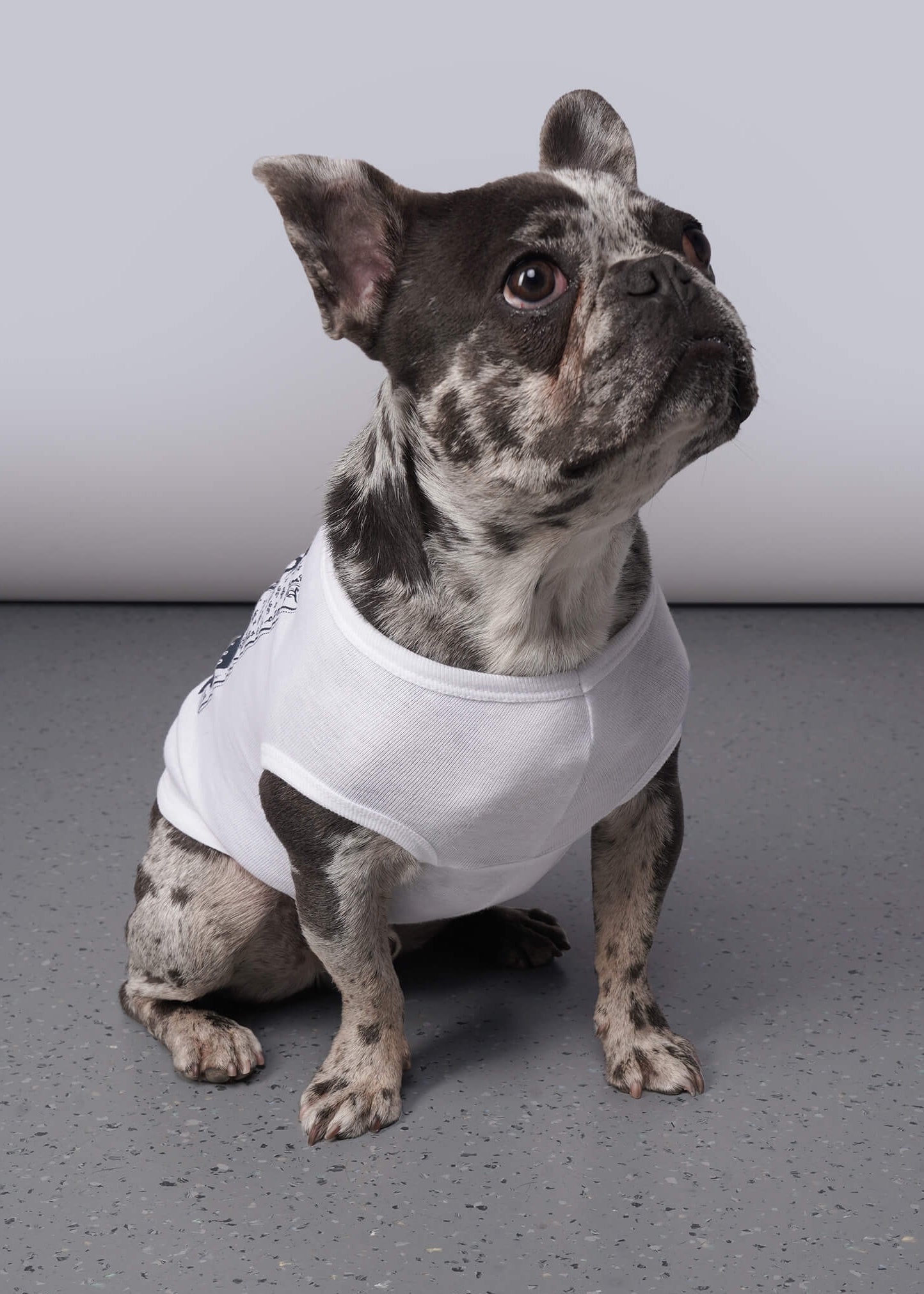 Dog wearing a white shirt on a gray floor with a white background